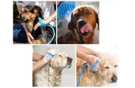 Ručná masážna sprcha pre zvieracich miláčikov