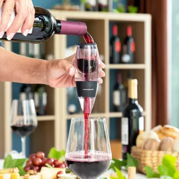 Prevzdušňovač vína s filtrom, stojanom a krytom Wineir InnovaGoods