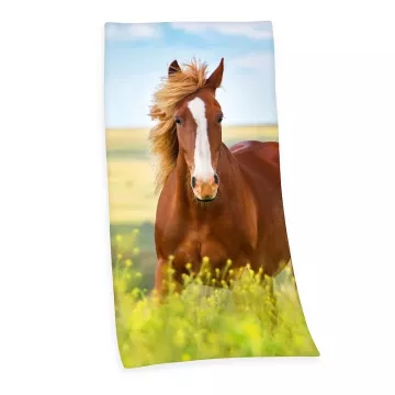 Osuška - Divoký kôň - 150 x 75 cm - Herding